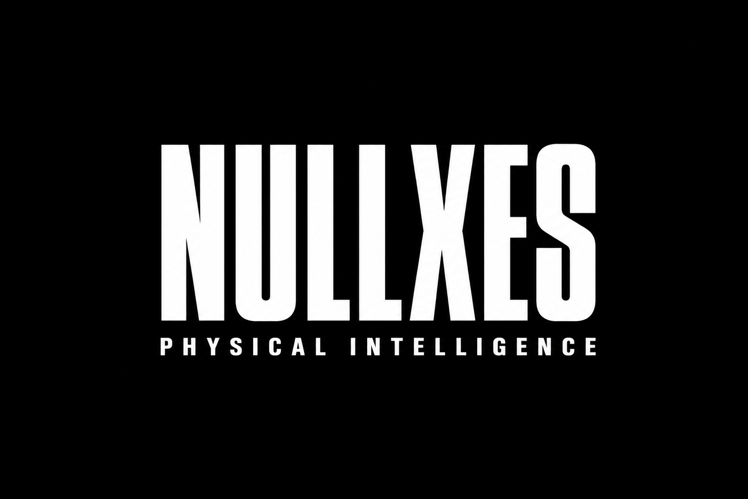 Nullxes header image